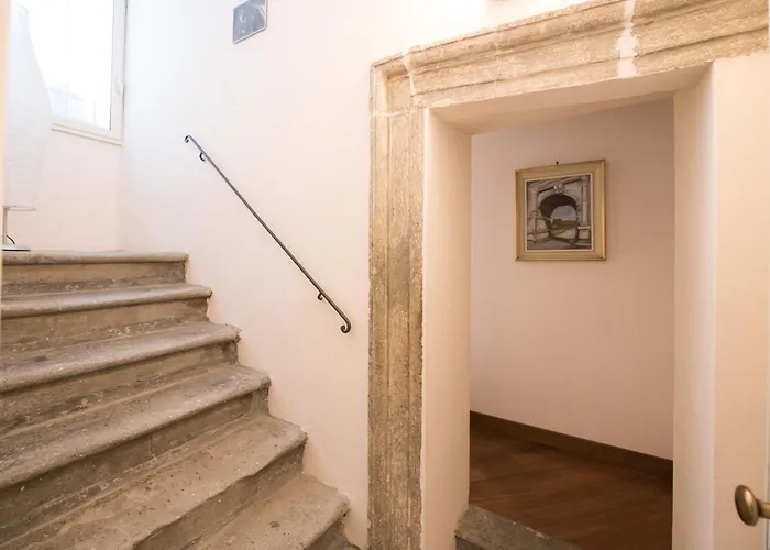 Magenta Collection Crociferi 1